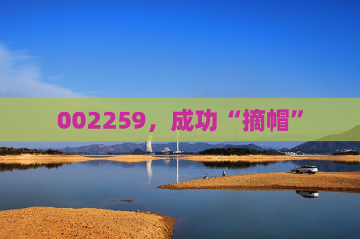 002259，成功“摘帽”