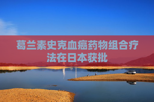 葛兰素史克血癌药物组合疗法在日本获批
