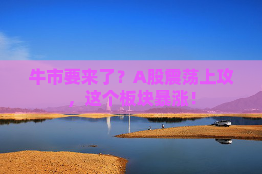 牛市要来了？A股震荡上攻，这个板块暴涨！