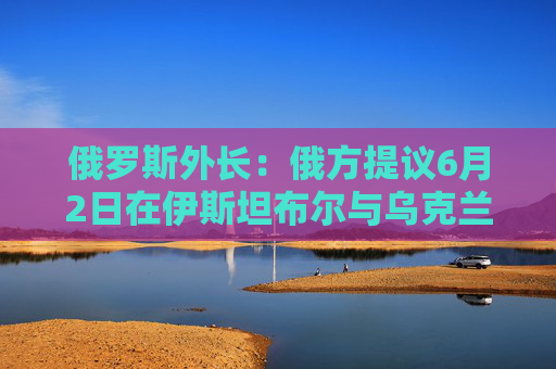 俄罗斯外长：俄方提议6月2日在伊斯坦布尔与乌克兰举行新会谈