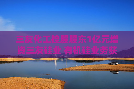 三友化工控股股东1亿元增资三友硅业 有机硅业务获“输血”
