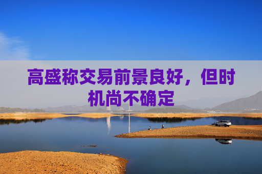 高盛称交易前景良好，但时机尚不确定