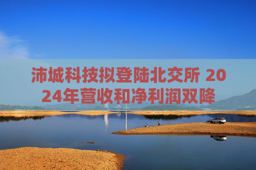 沛城科技拟登陆北交所 2024年营收和净利润双降