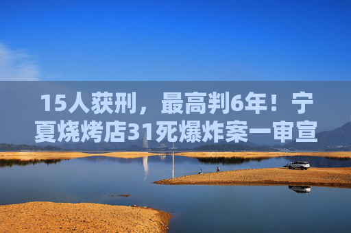 15人获刑，最高判6年！宁夏烧烤店31死爆炸案一审宣判