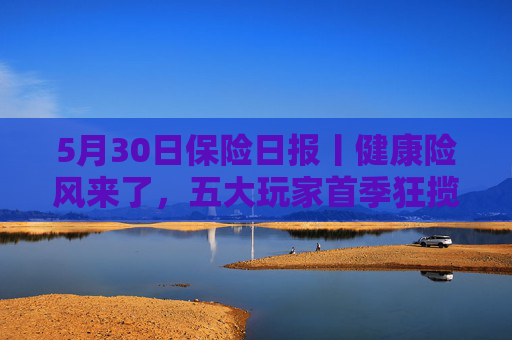 5月30日保险日报丨健康险风来了，五大玩家首季狂揽保费386亿元！年内66家险企关停近千家分支机构
