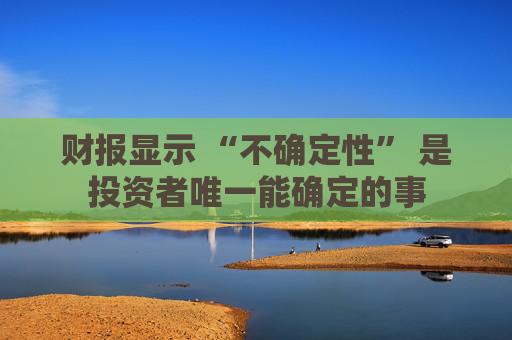 财报显示 “不确定性” 是投资者唯一能确定的事