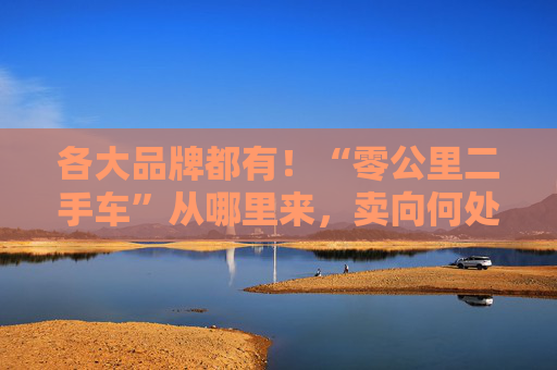 各大品牌都有！“零公里二手车”从哪里来，卖向何处，影响有多大？