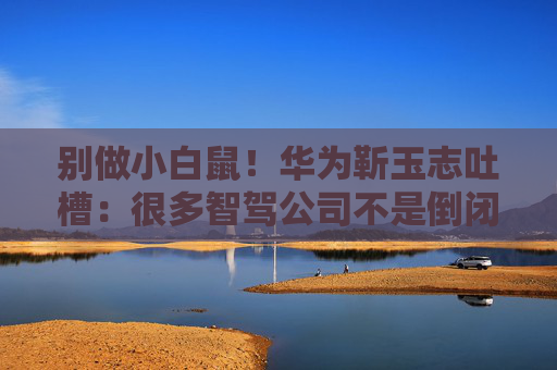 别做小白鼠！华为靳玉志吐槽：很多智驾公司不是倒闭就是做机器人去了