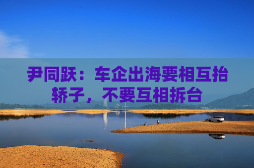 尹同跃：车企出海要相互抬轿子，不要互相拆台