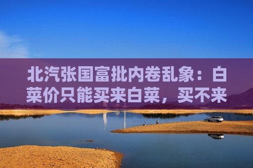 北汽张国富批内卷乱象：白菜价只能买来白菜，买不来金丝楠木