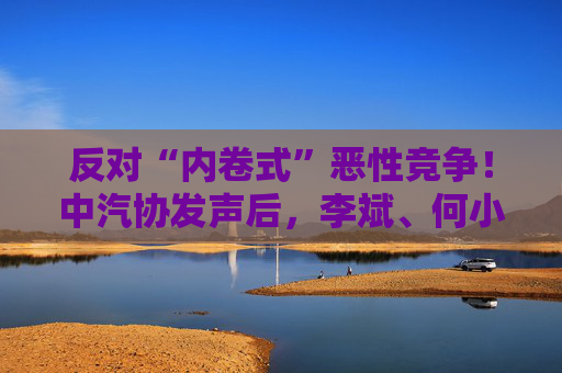 反对“内卷式”恶性竞争！中汽协发声后，李斌、何小鹏、閤先庆等车企大佬集体表态“价格战”