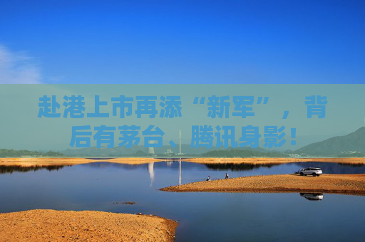 赴港上市再添“新军”，背后有茅台、腾讯身影！