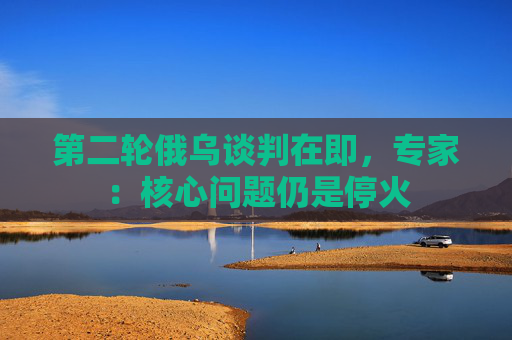第二轮俄乌谈判在即，专家：核心问题仍是停火