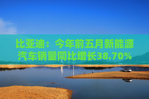 比亚迪：今年前五月新能源汽车销量同比增长38.70%