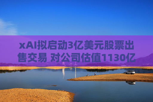xAI拟启动3亿美元股票出售交易 对公司估值1130亿美元