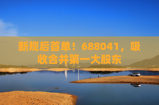 新规后首单！688041，吸收合并第一大股东