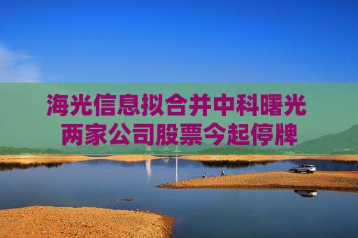 海光信息拟合并中科曙光 两家公司股票今起停牌