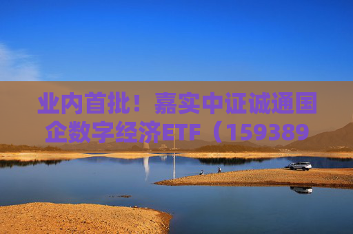 业内首批！嘉实中证诚通国企数字经济ETF（159389）5月23日成立