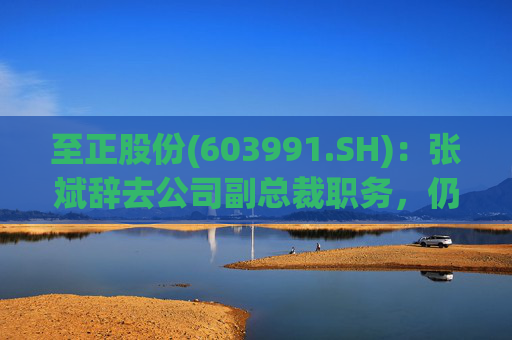 至正股份(603991.SH)：张斌辞去公司副总裁职务，仍在公司担任其他职务