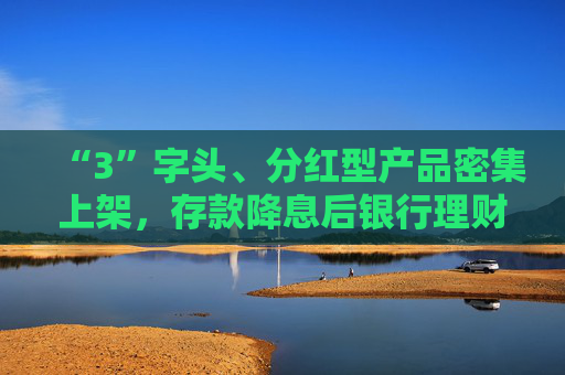 “3”字头、分红型产品密集上架，存款降息后银行理财花式“抢钱”，31万亿市场短期或仍扩容  第1张