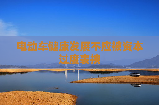 电动车健康发展不应被资本过度裹挟