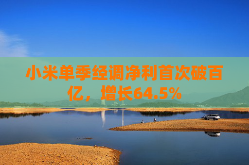 小米单季经调净利首次破百亿，增长64.5%