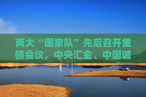 两大“国家队”先后召开重磅会议，中央汇金、中国诚通分别部署了哪些重点任务？