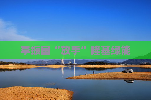李振国“放手”隆基绿能