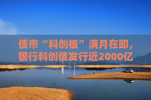 债市“科创板”满月在即，银行科创债发行近2000亿，大行热情高，中小行参与仍有限  第1张