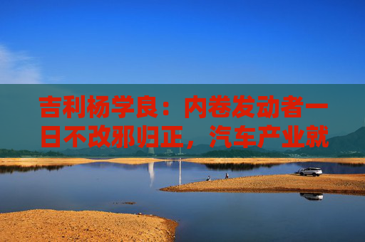 吉利杨学良：内卷发动者一日不改邪归正，汽车产业就不可能由大变强