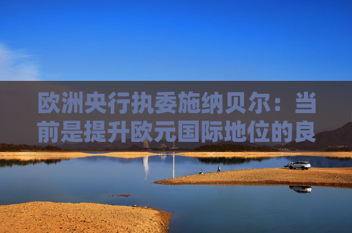 欧洲央行执委施纳贝尔：当前是提升欧元国际地位的良机