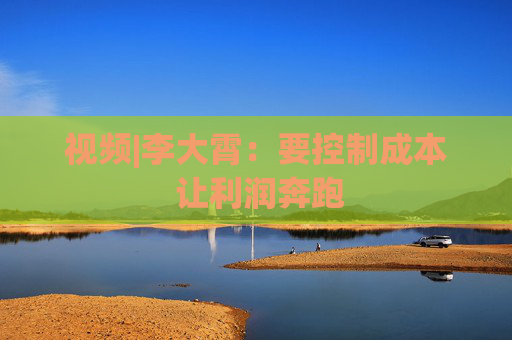 视频|李大霄：要控制成本 让利润奔跑  第1张