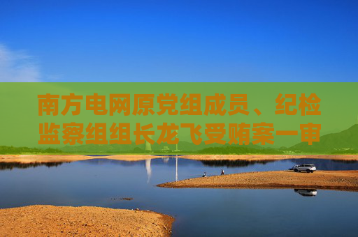 南方电网原党组成员、纪检监察组组长龙飞受贿案一审被判7年