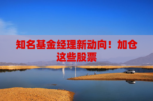 知名基金经理新动向！加仓这些股票  第1张