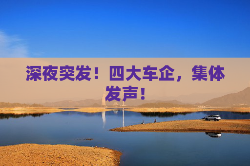 深夜突发！四大车企，集体发声！