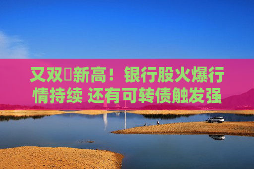 又双叒新高！银行股火爆行情持续 还有可转债触发强赎