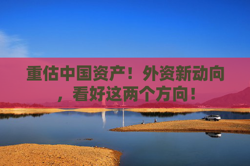 重估中国资产！外资新动向，看好这两个方向！
