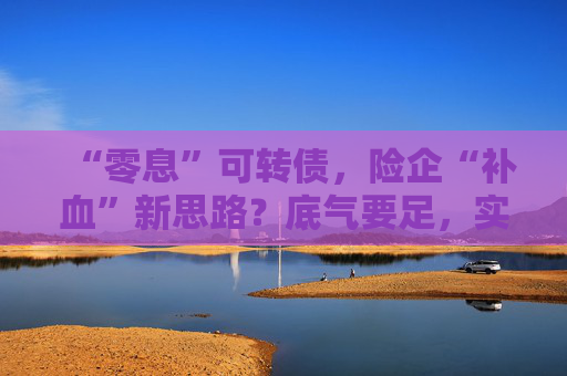 “零息”可转债，险企“补血”新思路？底气要足，实力要硬！  第1张