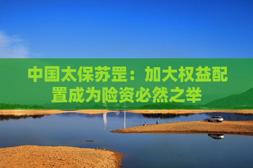 中国太保苏罡：加大权益配置成为险资必然之举  第1张
