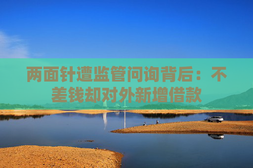 两面针遭监管问询背后：不差钱却对外新增借款