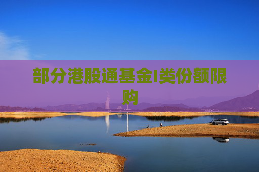 部分港股通基金I类份额限购  第1张