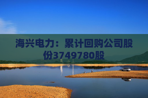 海兴电力：累计回购公司股份3749780股