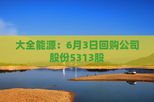 大全能源：6月3日回购公司股份5313股
