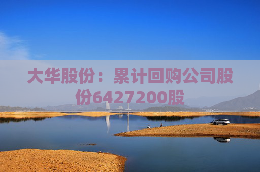 大华股份：累计回购公司股份6427200股