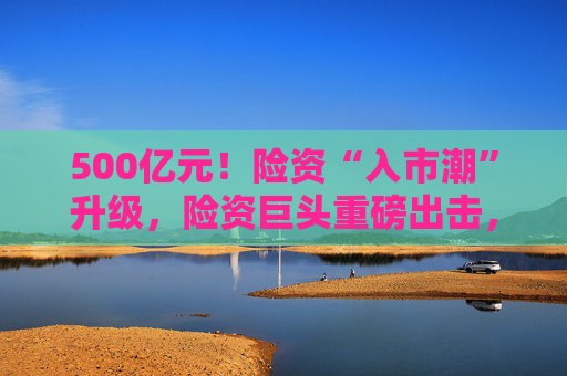 500亿元！险资“入市潮”升级，险资巨头重磅出击，股权投资探索频频