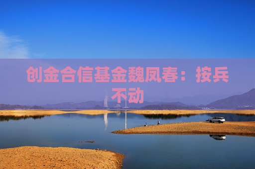创金合信基金魏凤春：按兵不动
