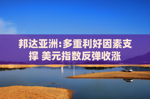 邦达亚洲:多重利好因素支撑 美元指数反弹收涨