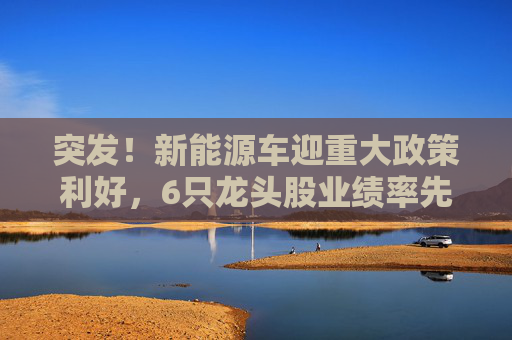突发！新能源车迎重大政策利好，6只龙头股业绩率先反转