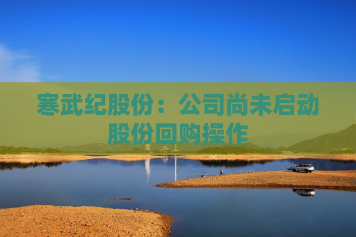 寒武纪股份：公司尚未启动股份回购操作