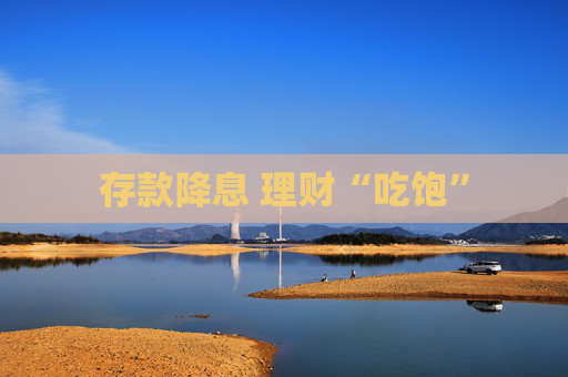 存款降息 理财“吃饱”